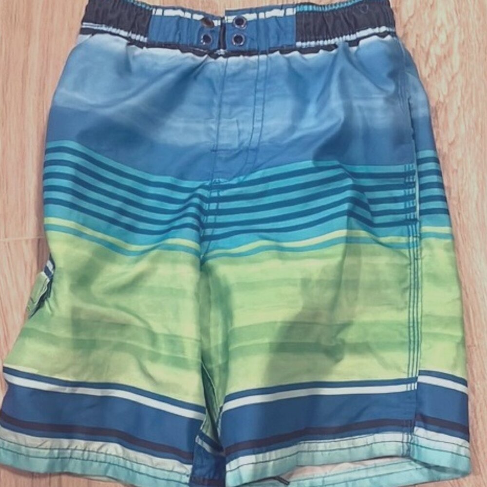 Boys Blue and Green Swim Trunks